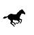 Cavallo (V)
